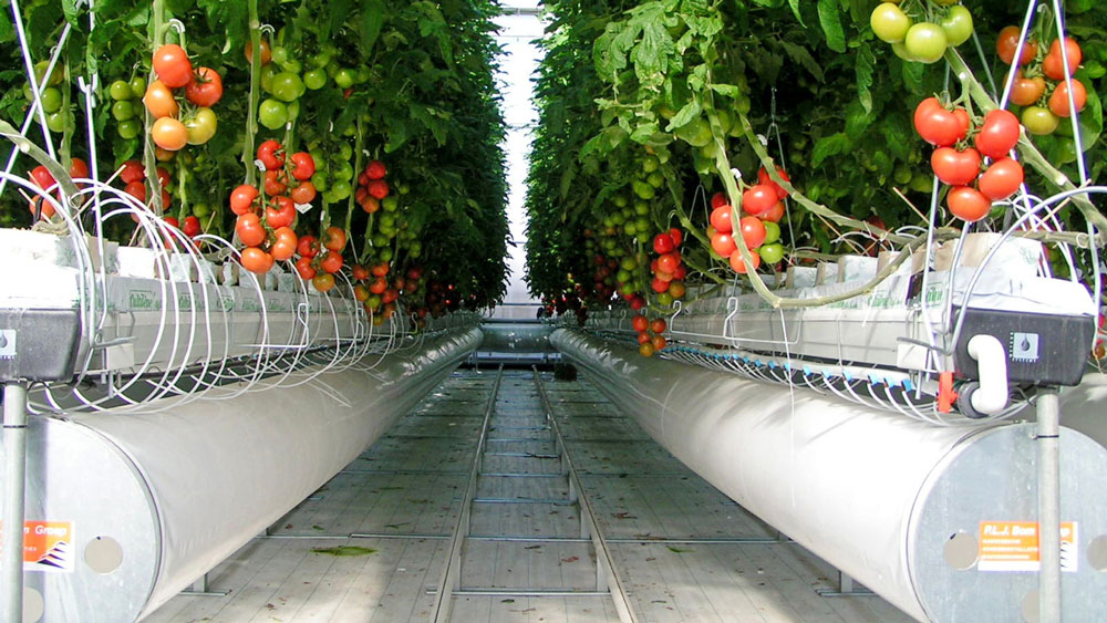 Greenhouse Heating and Cooling Engineering
